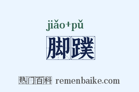脚蹼是什么意思的图片